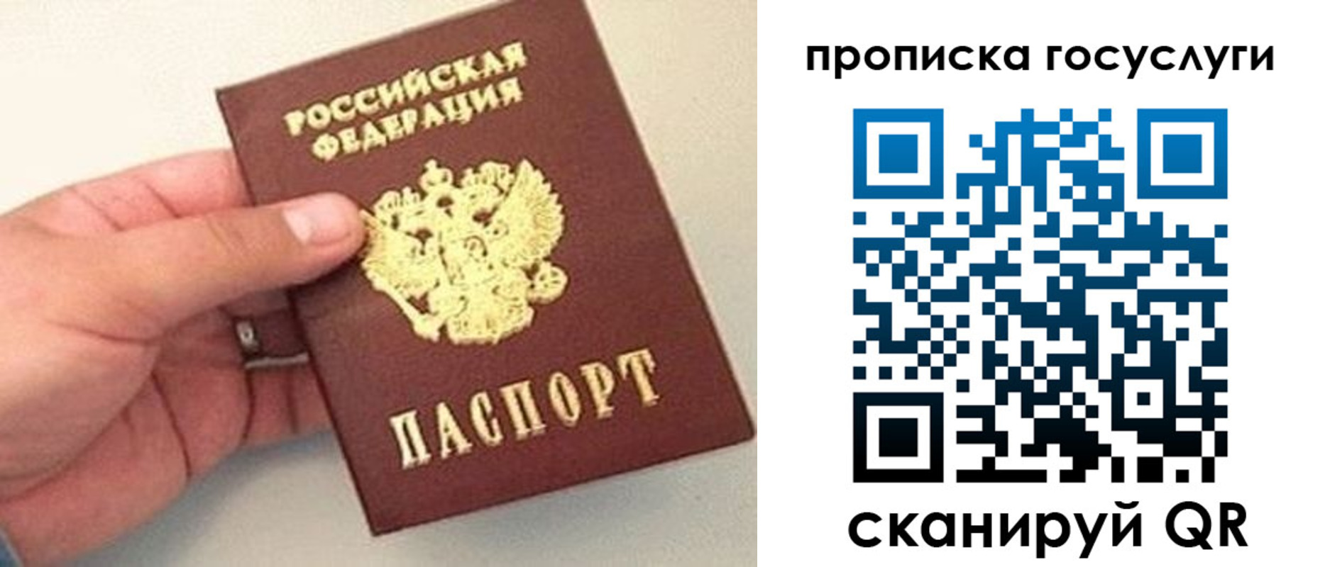 где прописаться в Солнечногорске